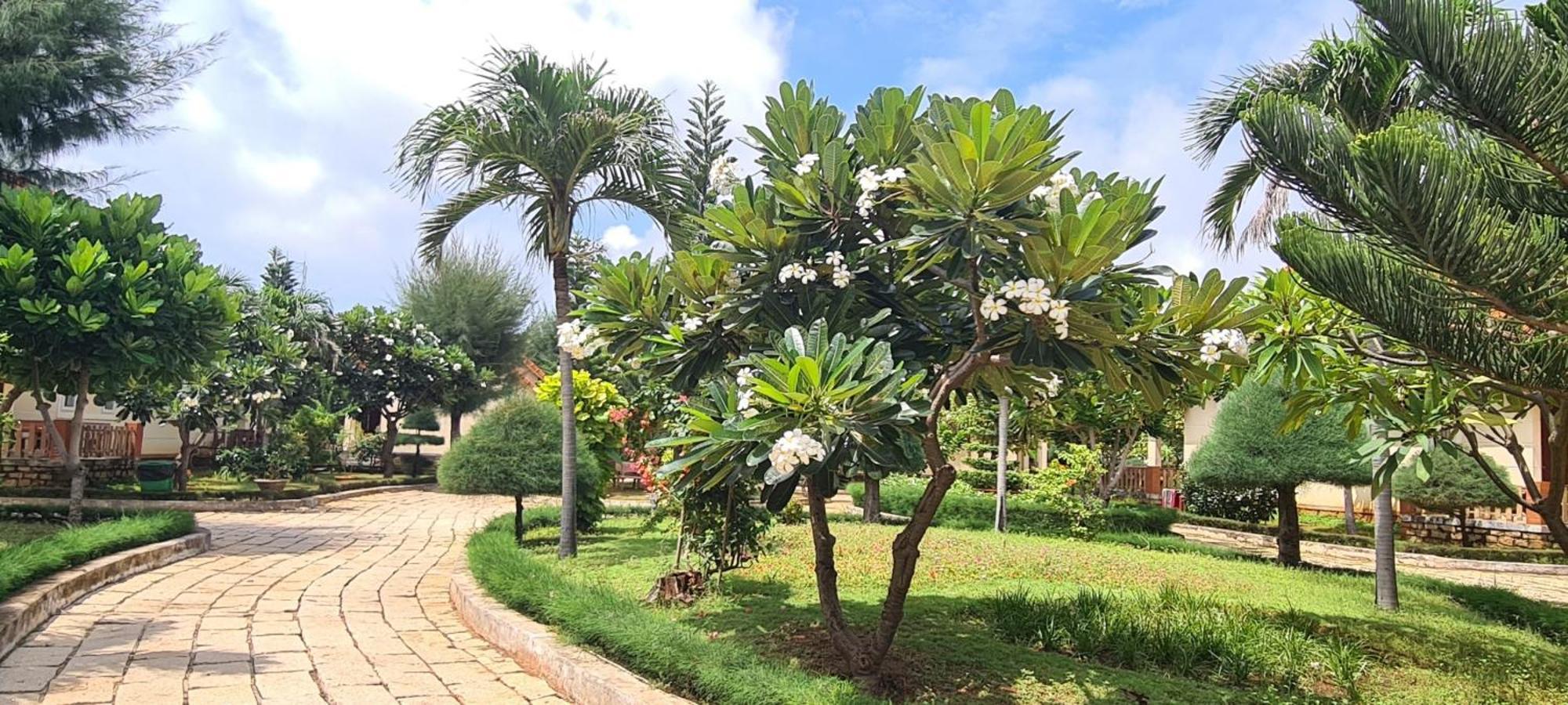 Hai Duong Intourco Resort, Vung Tau Exterior photo